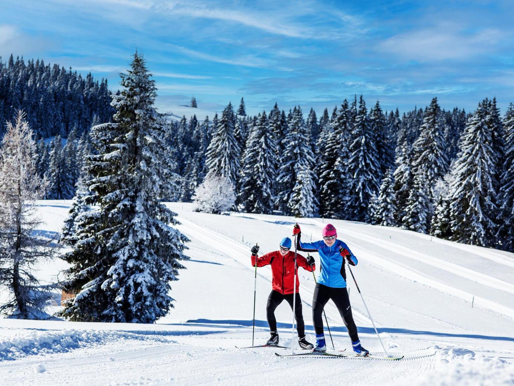 Black Forest Luxury Apartment Baerenhoehle Mit Sauna Schluchsee Eksteriør bilde