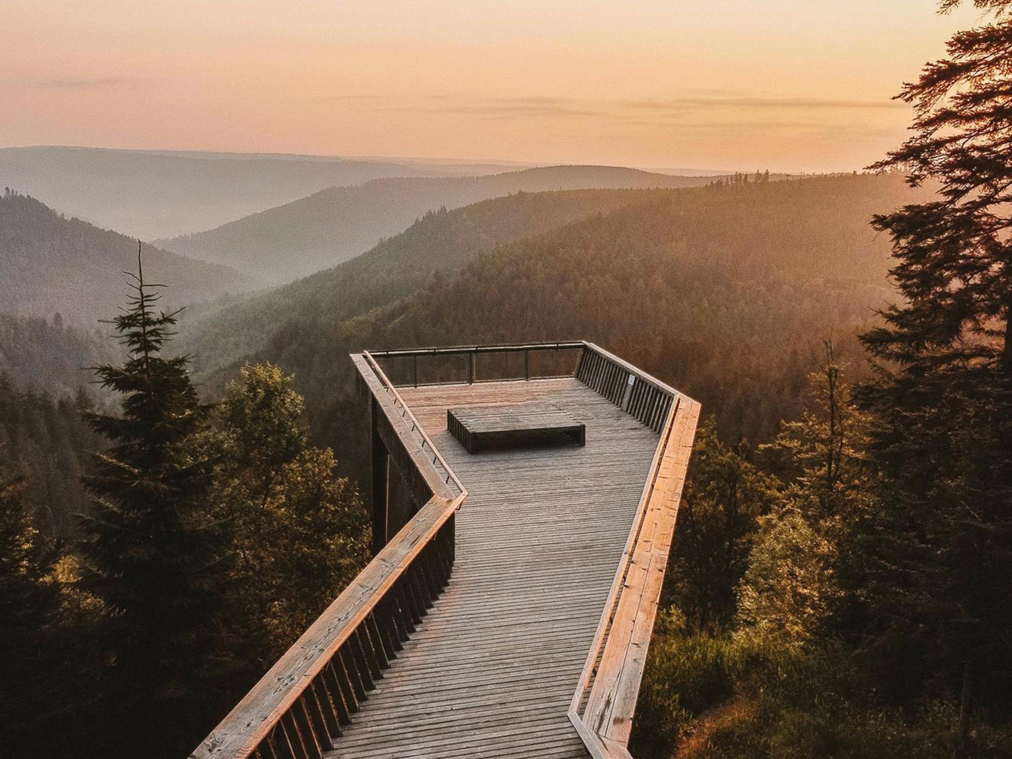 Black Forest Luxury Apartment Baerenhoehle Mit Sauna Schluchsee Eksteriør bilde